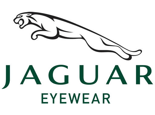Jaguar Jaguar